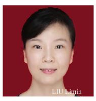 LIU Limin.JPG