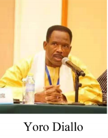 Yoro Diallo.png